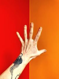 Cropped hand of woman gesturing against yellow background