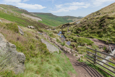 Tranquil rural scene in a sunny day of summer