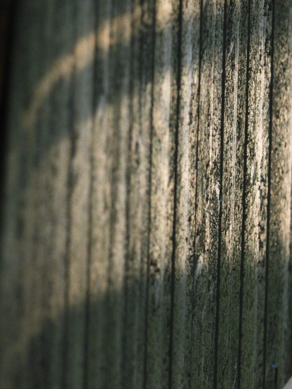 CLOSE-UP OF WOODEN WALL