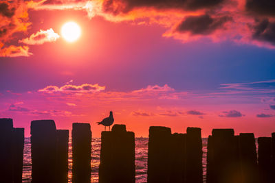 Silhouette buildings against sky during sunset