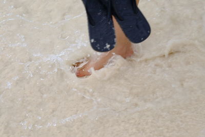 Low section of man standing on beach