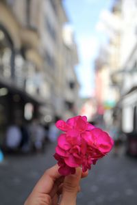 Close-up of hand holding flower in city