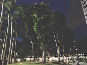 Trees in city against sky