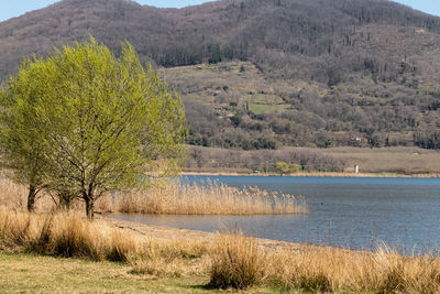 Scenic view of landscape