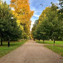 Road amidst trees in park against sky