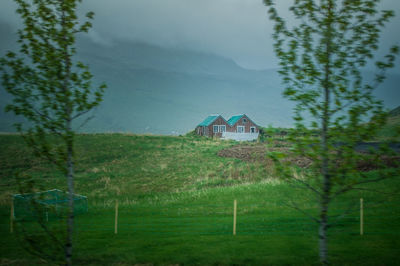 Scenic view of grassy field against sky