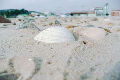 Surface level of pebbles on beach