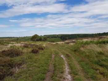 Scenic view of land against sky