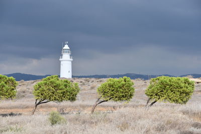 Plants growing by lighthouse against sky