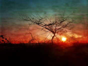 Silhouette trees against dramatic sky during sunset
