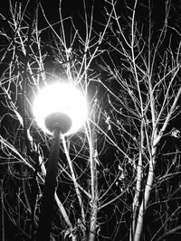 Low angle view of illuminated street light at night