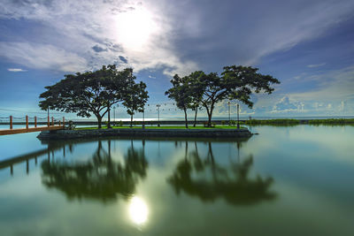 Palm trees by lake against sky