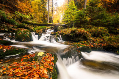 Stream flowing through rocks in forest during autumn