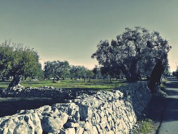 Scenic view of landscape against clear sky