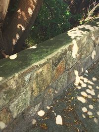 High angle view of steps on footpath