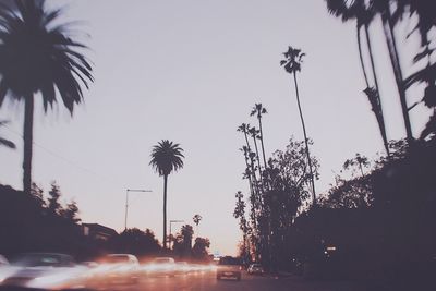 Low angle view of silhouette palm trees against sky during sunset