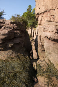 Rock formations by trees against sky