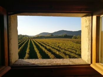 Scenic view of field against sky seen through window