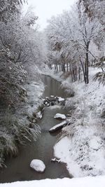 Scenic view of river amidst trees during winter