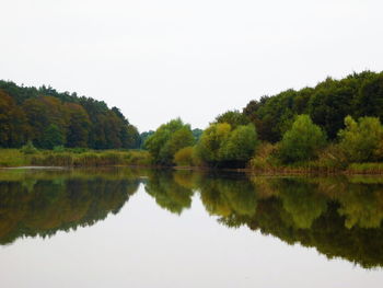 Reflection of trees in calm lake against clear sky