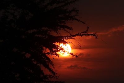 Low angle view of silhouette trees against romantic sky at sunset