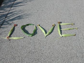 High angle view of text on sand