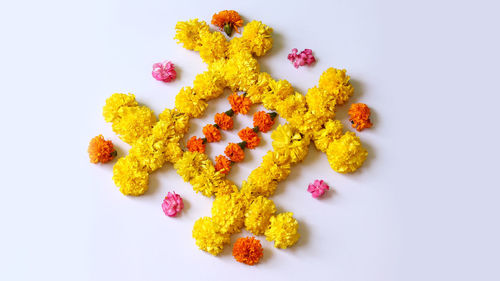 High angle view of various flowers against white background