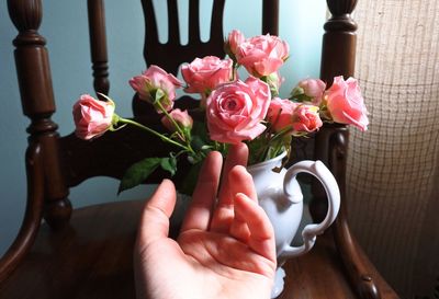 Close-up of flower with hand