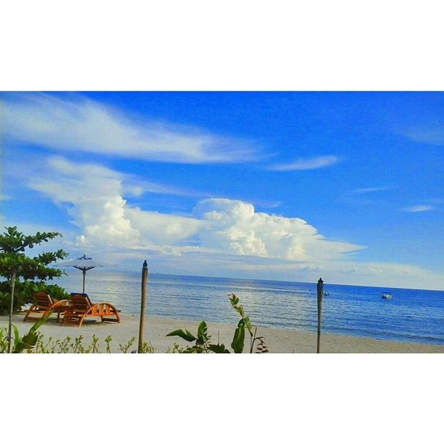 sea, horizon over water, water, sky, tranquil scene, tranquility, scenics, beauty in nature, beach, nature, cloud - sky, cloud, blue, shore, idyllic, transfer print, growth, plant, ocean, tree