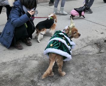 Low section of people with dog on street in city