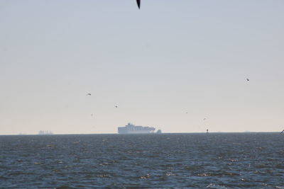 Seagull flying over sea against clear sky