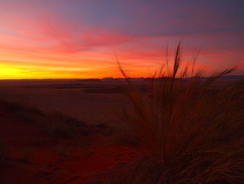 Scenic view of field against sky during sunset