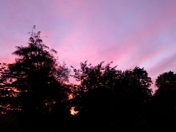 Low angle view of silhouette trees against sky at sunset