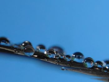 Close-up of water against clear blue sky