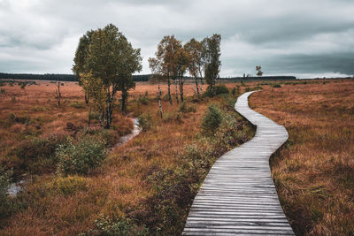 Boardwalk amidst trees on field against sky