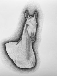 drawing