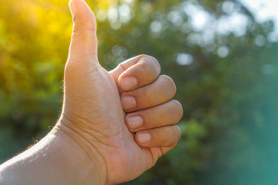 Cropped hand of man gesturing thumbs up against trees