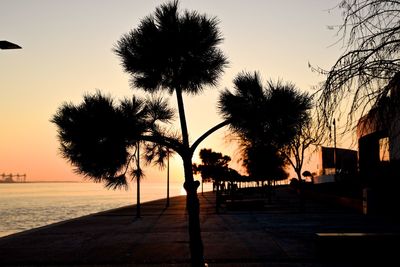 Silhouette of trees at sunset