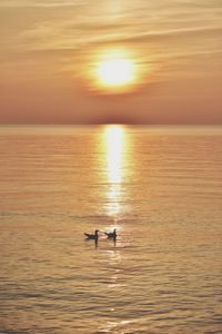 Sunrise over the baltic sea in gdynia