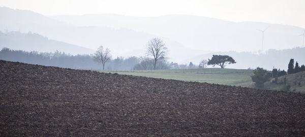 Scenic view of field in foggy weather