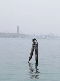 Man on a boat in city