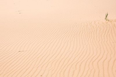 Full frame shot of sand dunes in desert