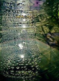 Close up of water drops on leaf