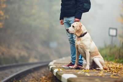 Low section of man with dog standing on railroad station platform during autumn