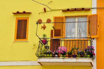 House - procida, italy