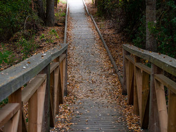 Footpath amidst trees in forest