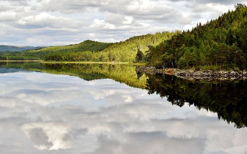 Scenic view of lake in forest against sky