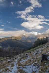 Scenic view of landscape against sky