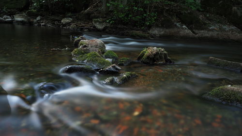 River flowing through rocks in forest