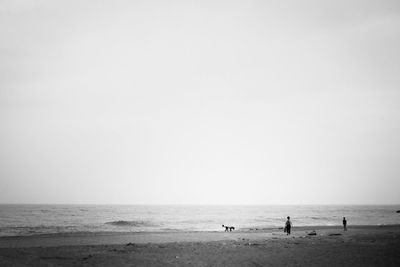 People at beach against clear sky